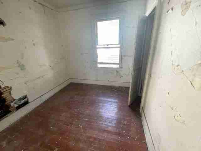 17257 bloom (28).jpg